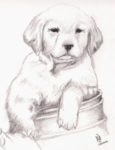 Golden Retriever Puppy Coloring Pages Printable Maria to Supeingo