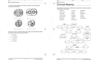 Cell Division Reading Comprehension Worksheet Mitosis And Meiosis