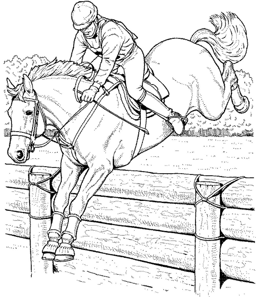 Free Girl And Horse Jumping Coloring Pages, Download Free Girl And