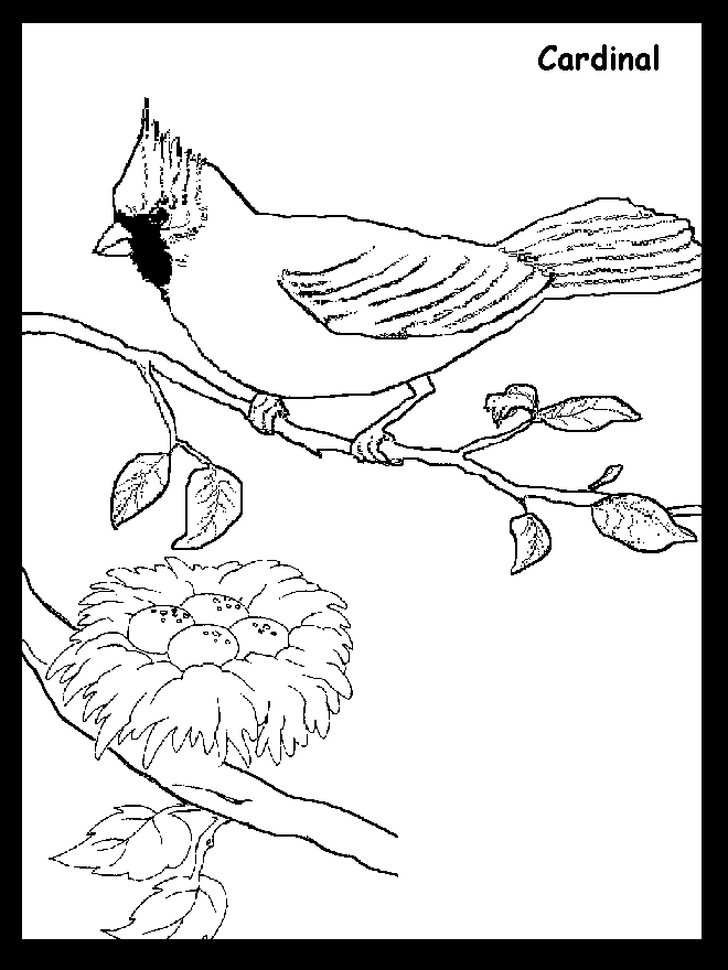 Winter Cardinal Coloring Pages