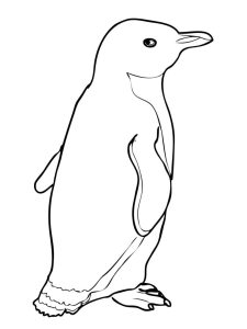 Printable Pictures Of Penguins Cliparts.co