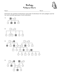 14 Best Images of Pedigree Worksheet With Answer Key