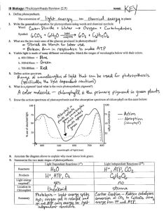 Section 8 2 Photosynthesis Worksheet Answers