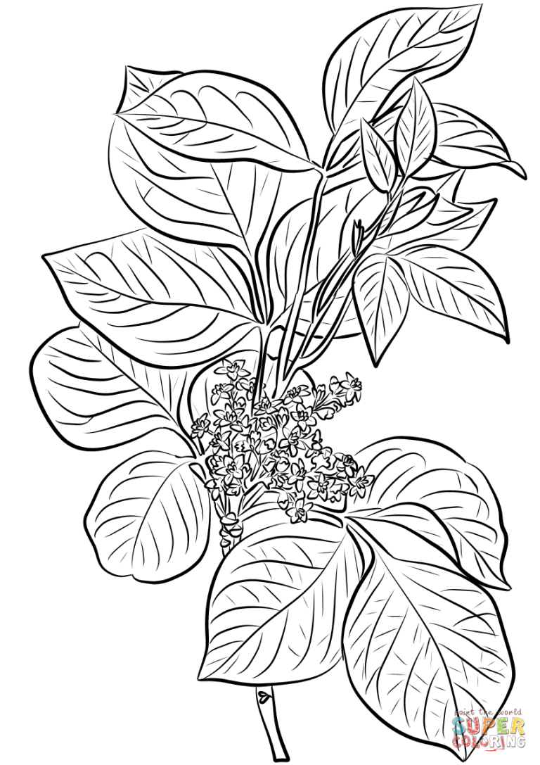 Poison Ivy Coloring Pages