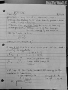 And Potential Energy Worksheet Answer Key arainspire