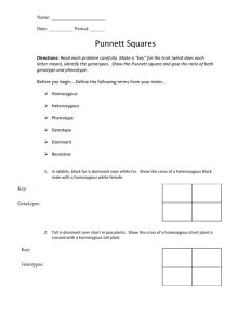 Square Worksheet 1 Answer Key —