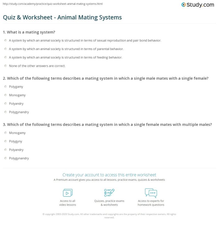 Animal Systems Practice Worksheet Answer Key