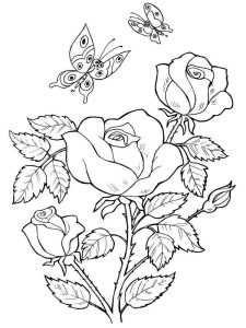 Rose coloring pages. Download and print Rose coloring pages