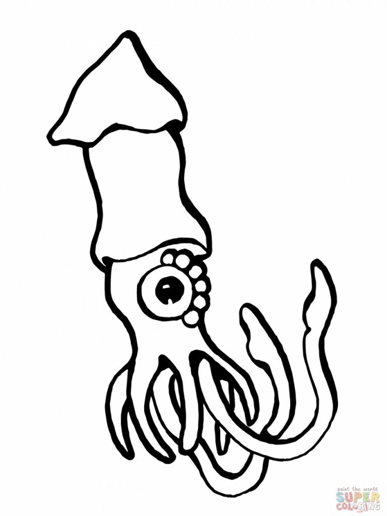 Cute Squid Coloring Pages