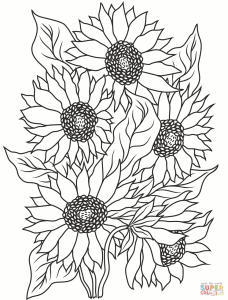 Sunflower coloring page Free Printable Coloring Pages