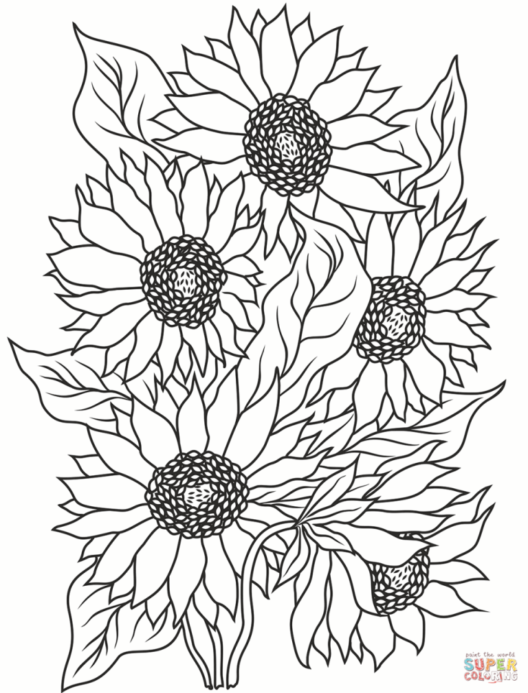Coloring Pages Of Sunflowers
