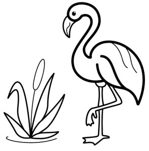 Flamingo coloring pages 100 Printable coloring pages