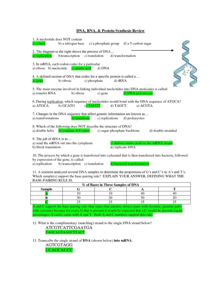Protein Synthesis Practice 1 Worksheet Answer Key
