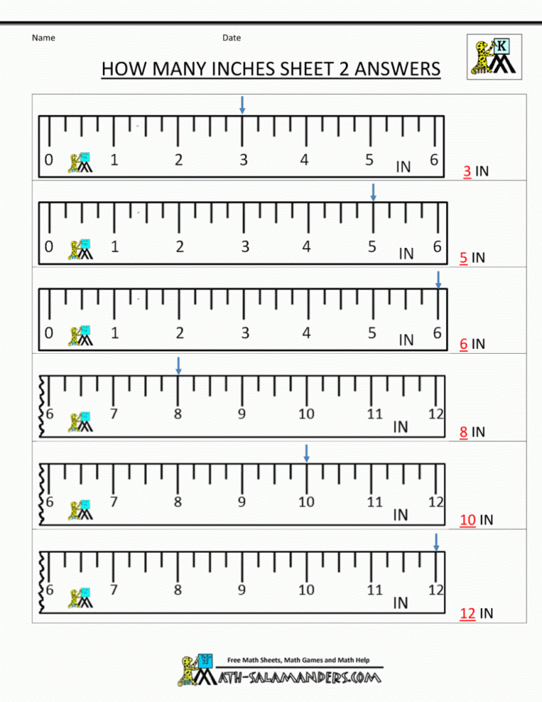 How To Read A Ruler Worksheet