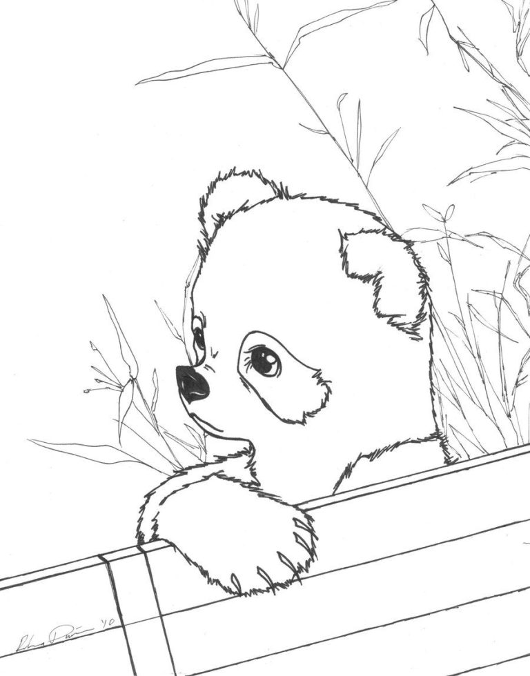Cute Panda Coloring Pages