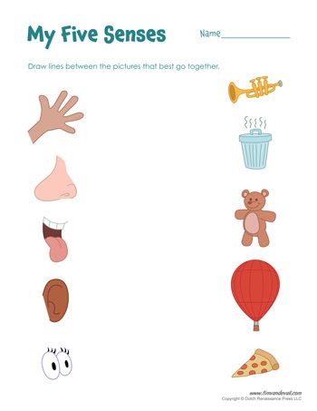 Preschool Free Printable Five Senses Worksheets