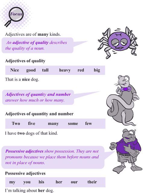 4th Grade Kinds Of Adjectives Worksheets With Answers