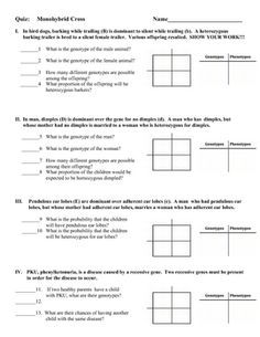 Answer Key More Punnett Square Practice Worksheet Answers