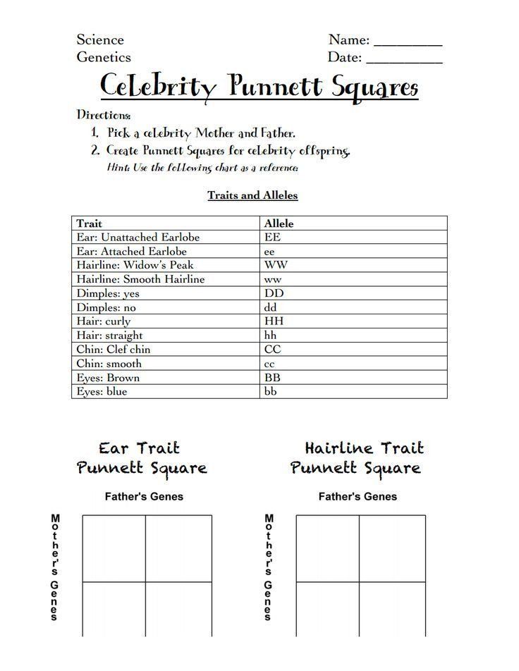Punnett Square Practice Worksheet With Answers Pdf