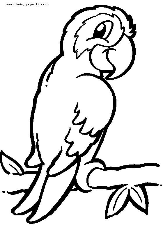 Animal Coloring Pages For Adults Easy