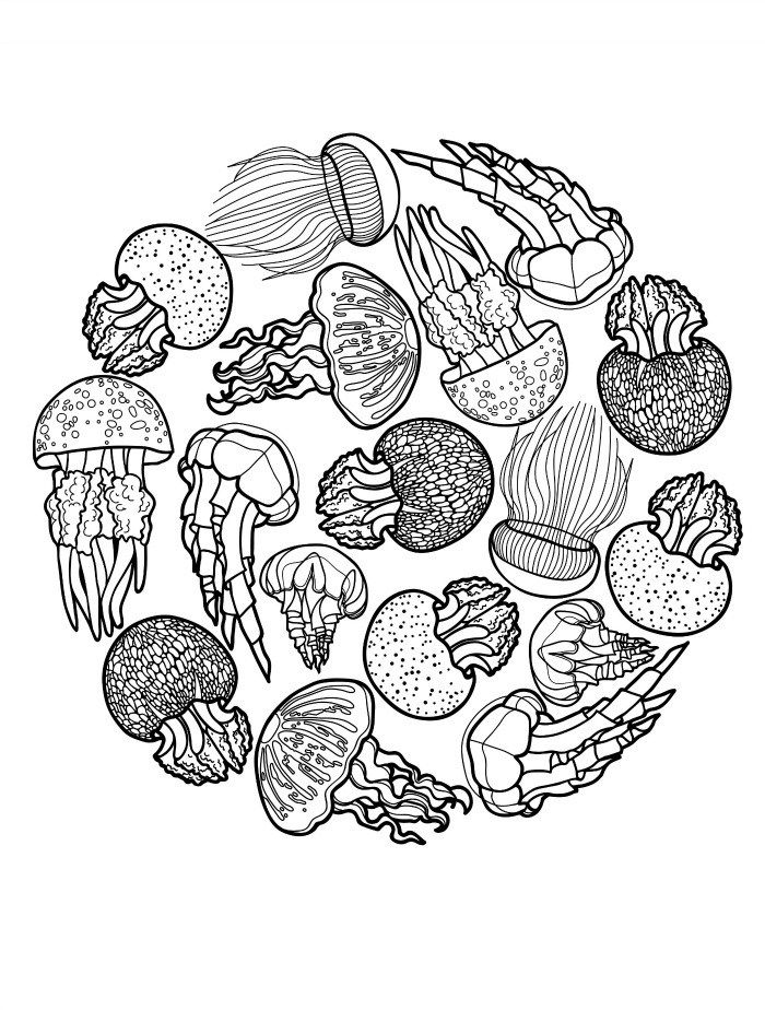 Abstract Jellyfish Coloring Pages For Adults