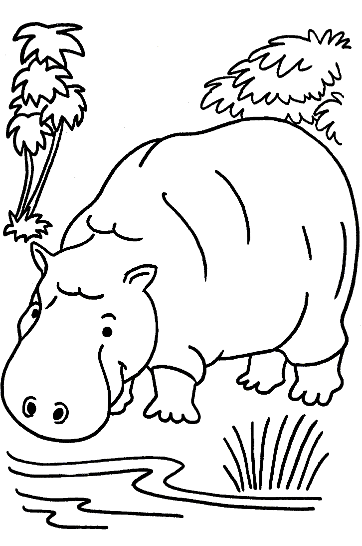 Animal Pictures To Color Free