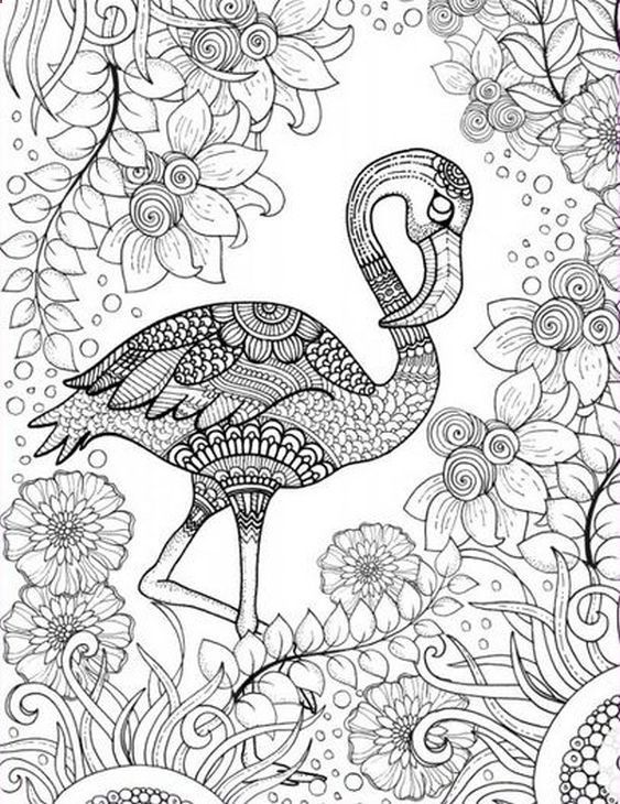 Advanced Flamingo Coloring Pages For Adults