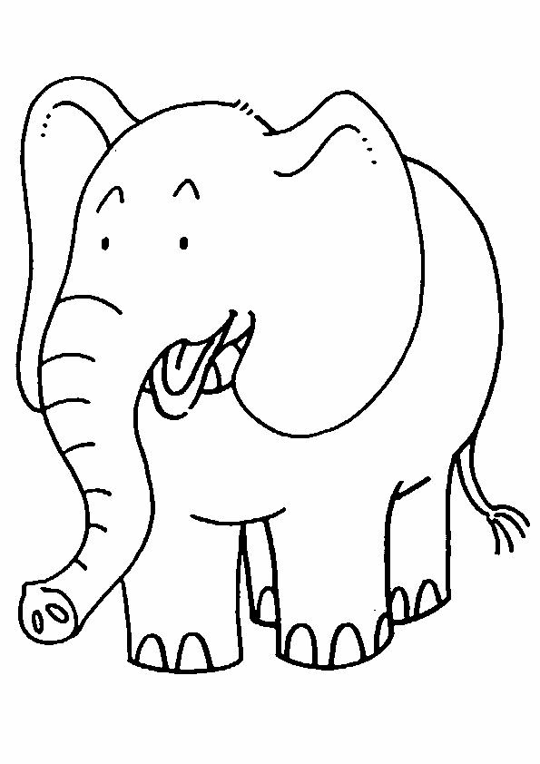 Animal Cool Coloring Pages For Kids