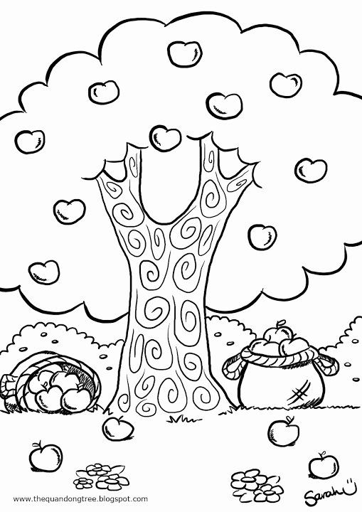 Apple Tree Coloring Pages Free