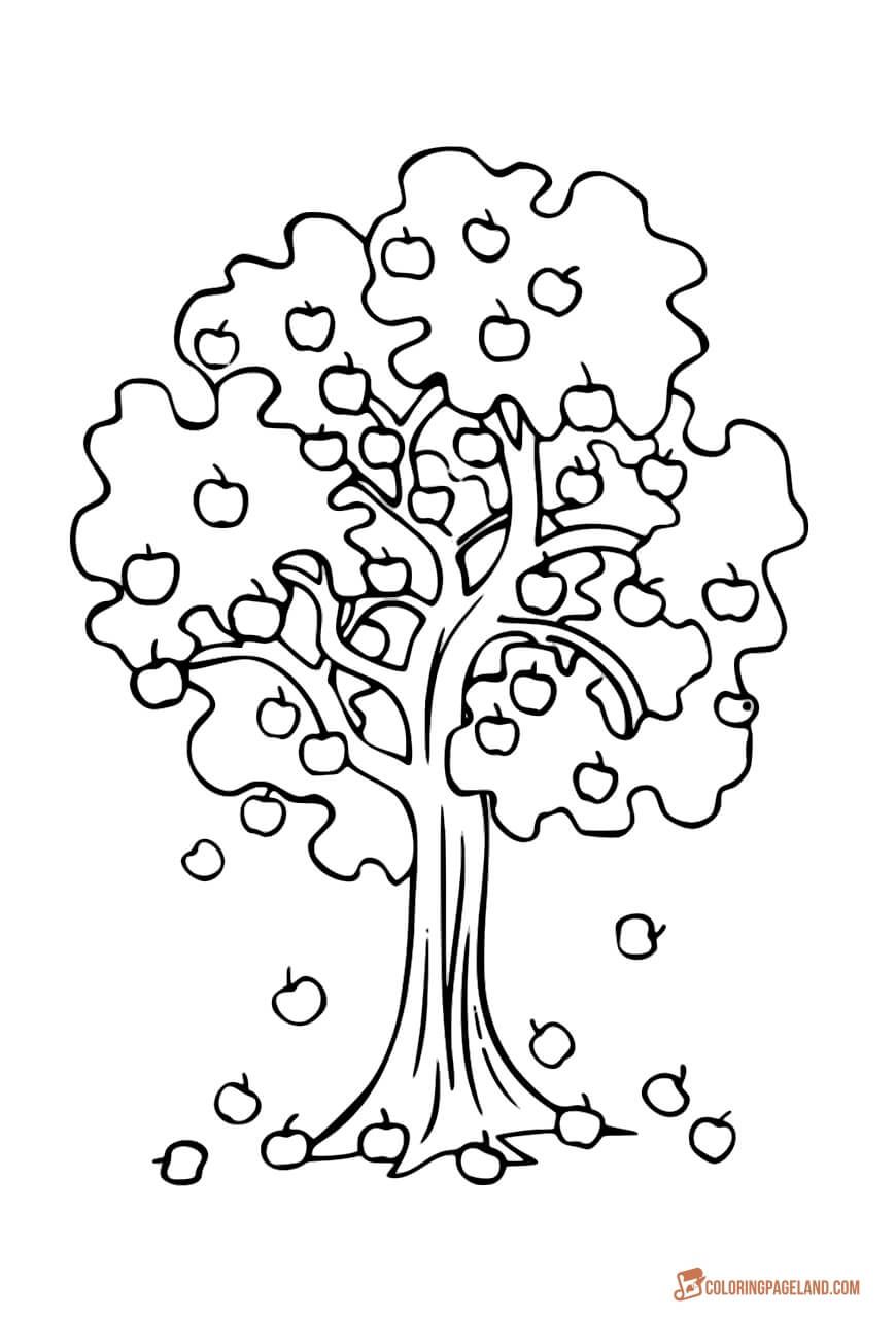 Apple Tree Coloring Picture