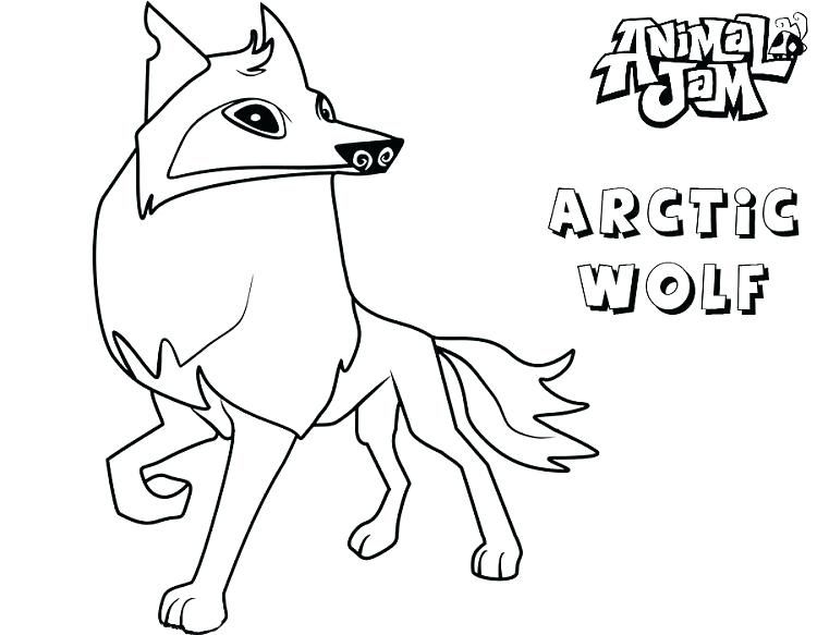 Animal Jam Coloring Pages Coyote