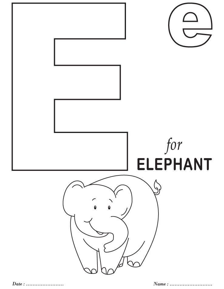 Adorable Animal Easy Animal Coloring Pages