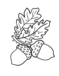 Acorn Coloring Pages For Preschoolers