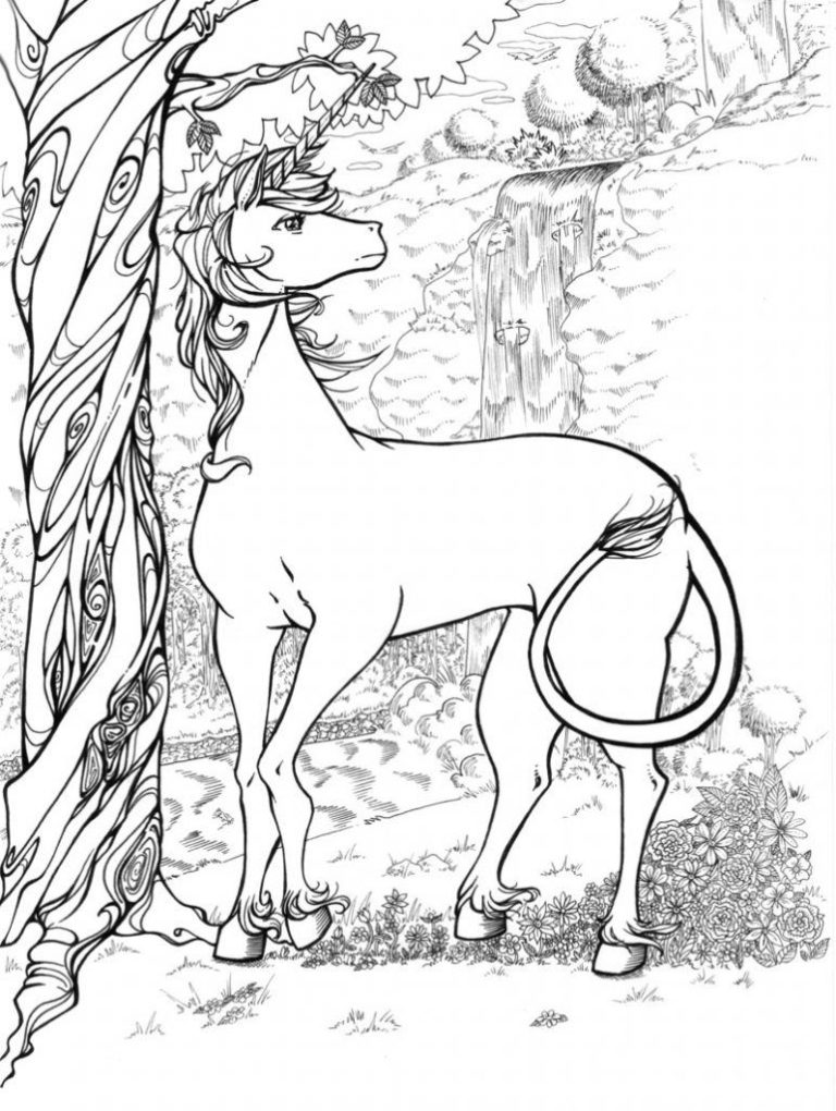 Animal Unicorn Coloring Pages Hard
