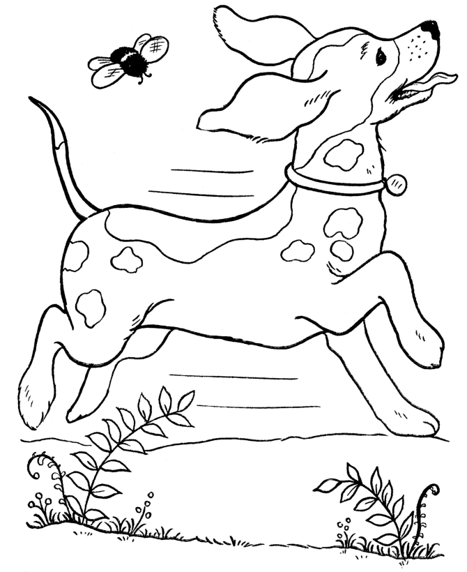 Animal Pet Coloring Pages