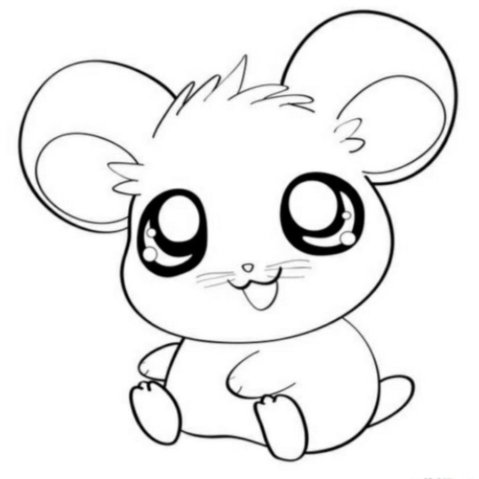 Adorable Cute Baby Animals Colouring Pages