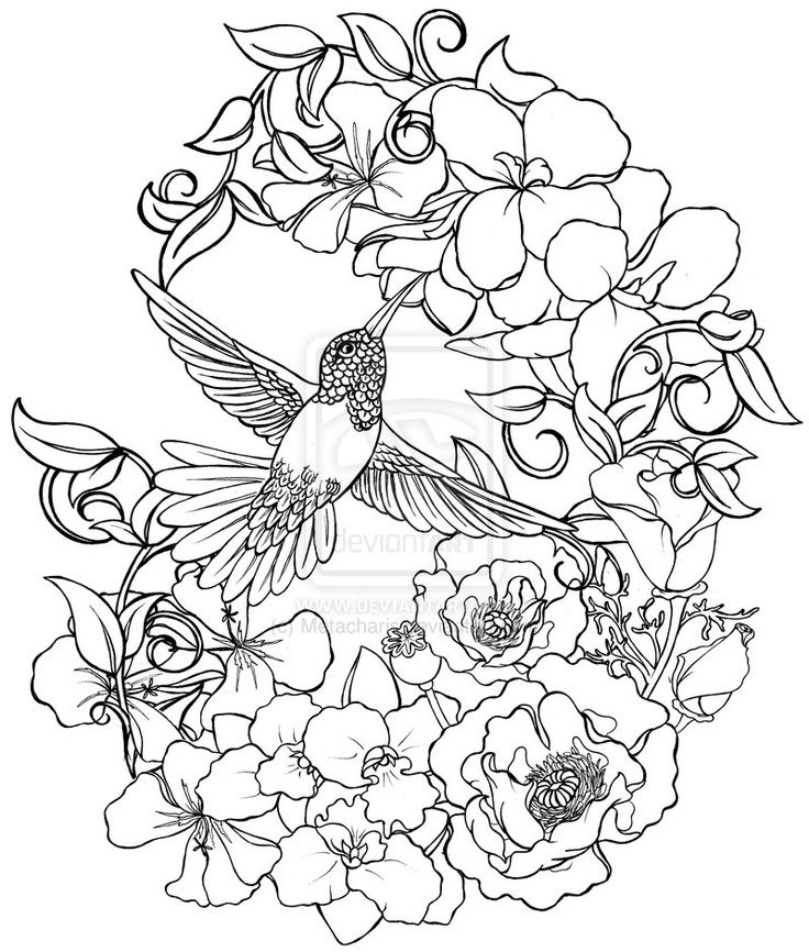 Advanced Bird Coloring Pages For Adults