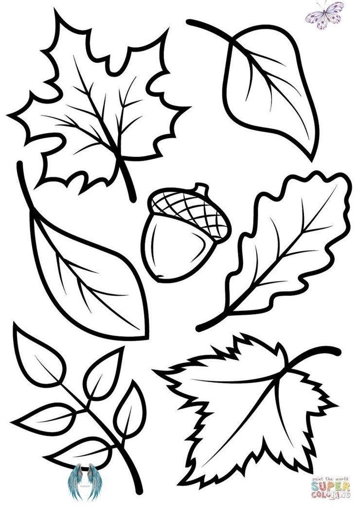 Acorn Coloring Pages For Toddlers