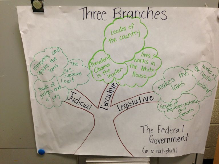 Three Branches Of Government Worksheets For 3rd Grade