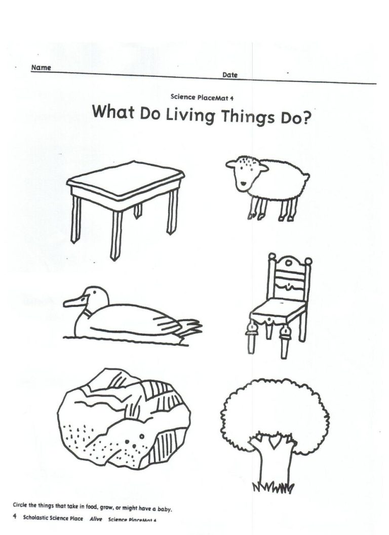 Living And Non Living Things Worksheets For Kindergarten