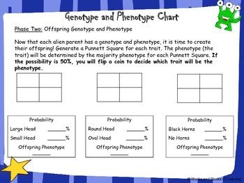 Genetics Worksheet Part 1 Understanding Phenotype And Genotype Answer Key