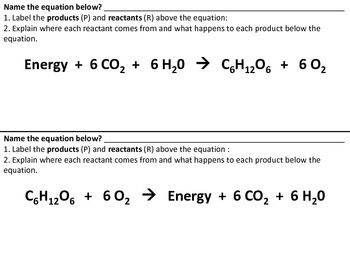 Photosynthesis And Cellular Respiration Worksheet Answers Pdf
