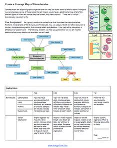 Other Mechanisms Of Evolution Worksheet