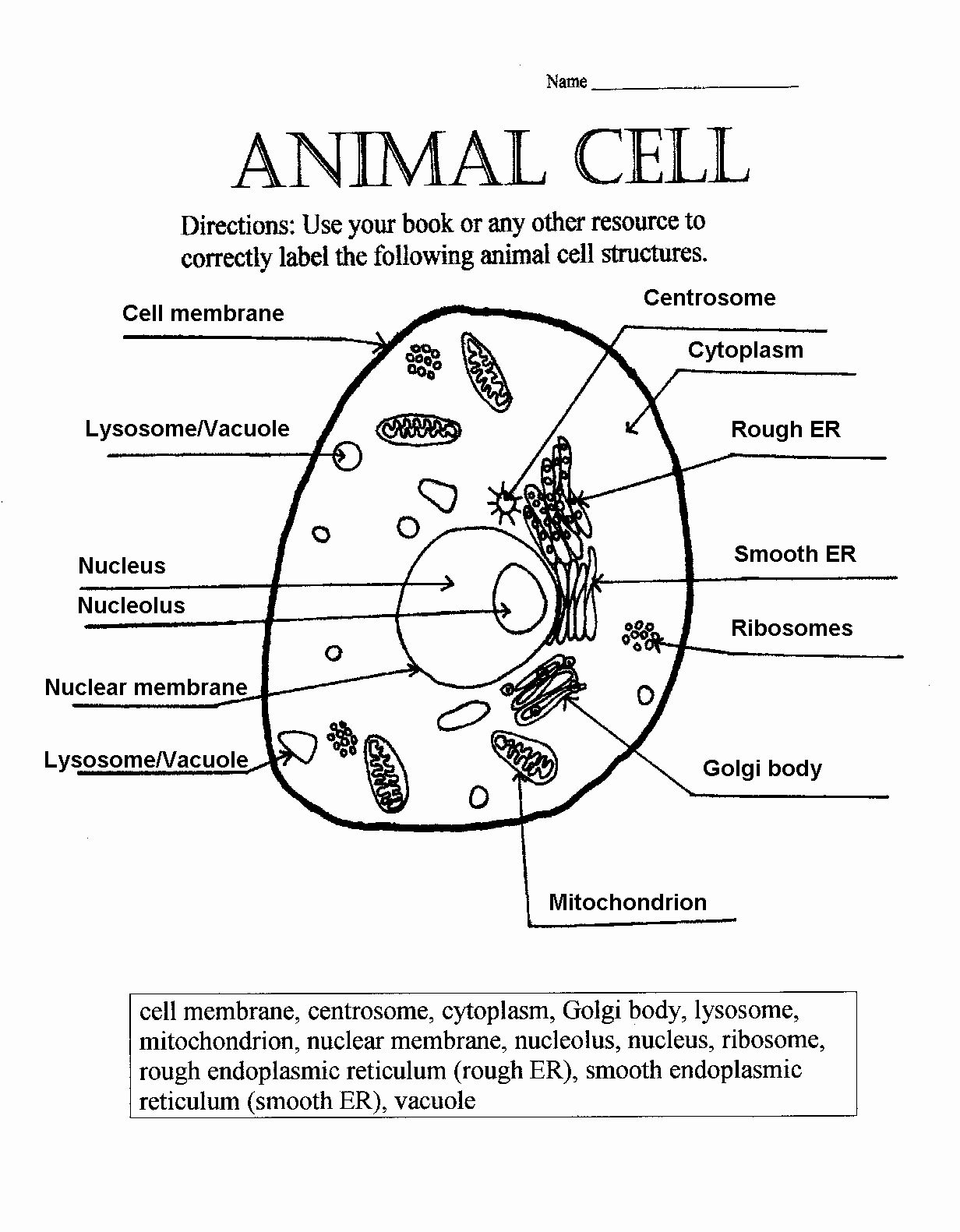 The Anatomy Of The Cell Worksheet Answer Key Answer Worksheet