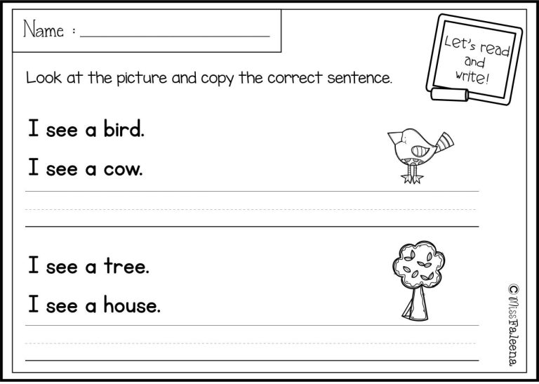 Writing Sentences Exercises Pdf