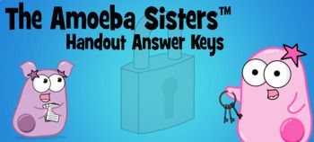 Characteristics Of Life Amoeba Sisters Worksheet Answer Key