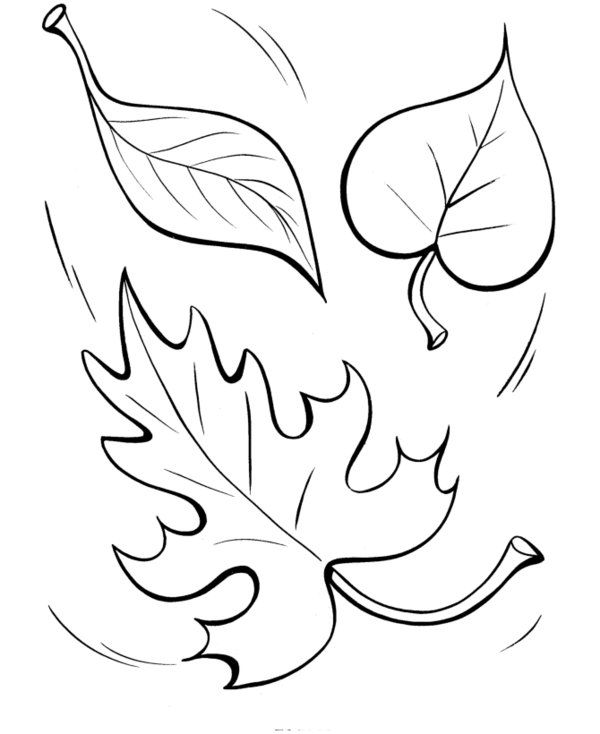 Autumn Leaves Coloring Pages Free
