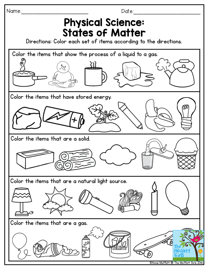 1st Grade Science Worksheets On Matter