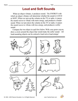 1st Grade Science Worksheets On Sound