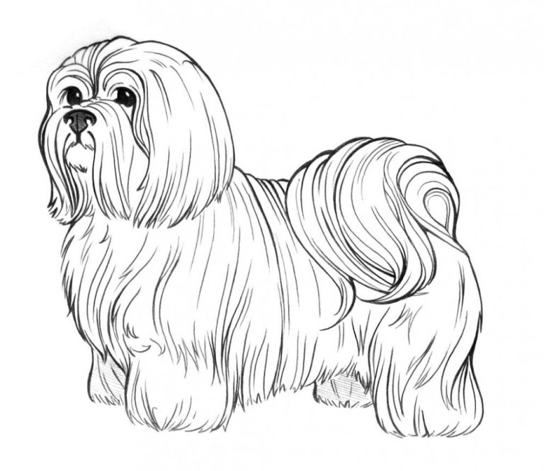 Dog Cute Animal Coloring Pages For Adults